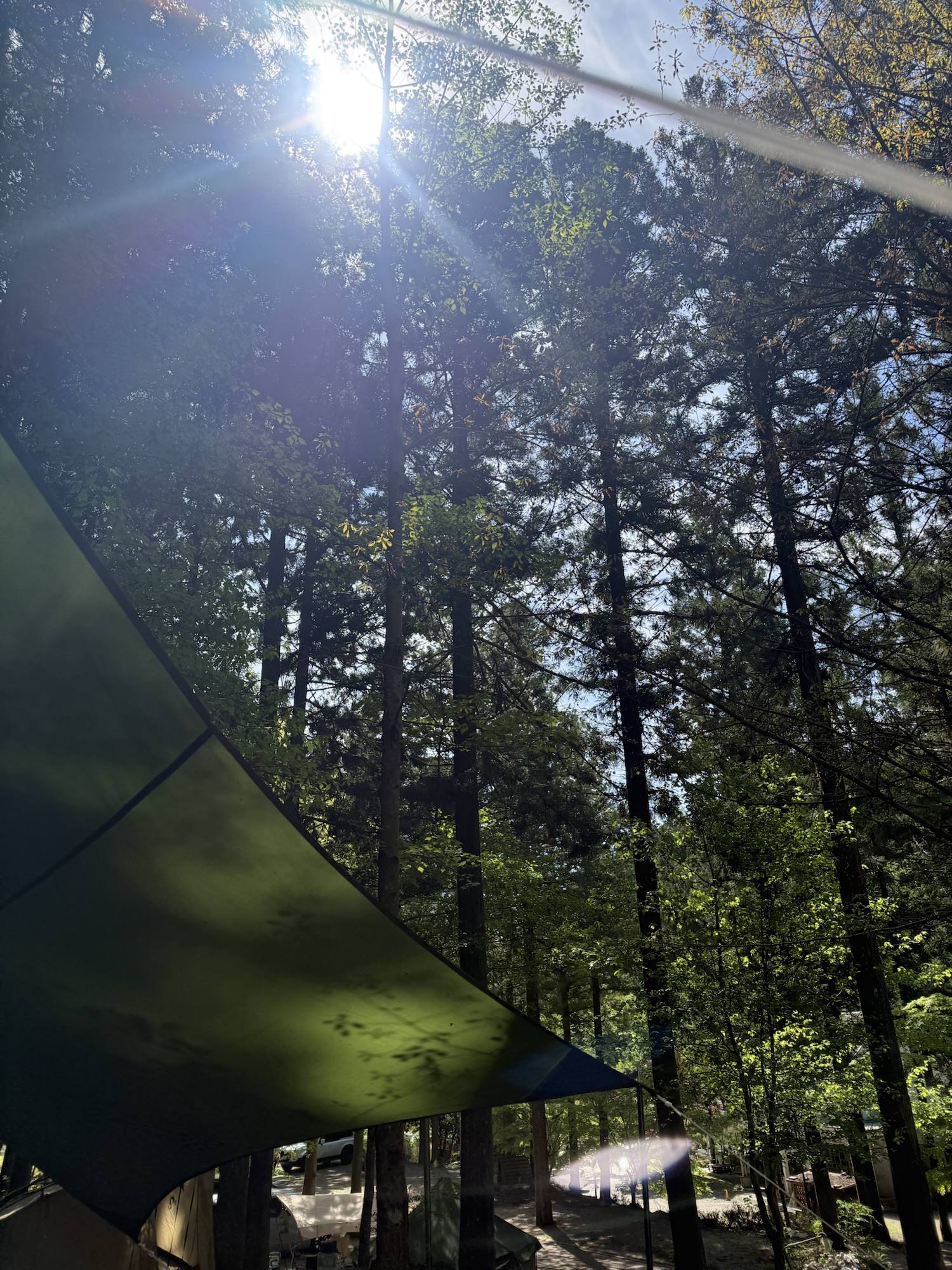 久しぶりのキャンプでかなりリフレッシュできた話